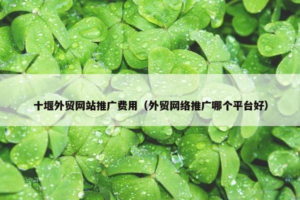 十堰外贸网站推广费用（外贸网络推广哪个平台好）