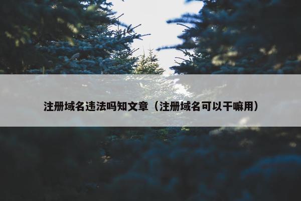 注册域名违法吗知文章（注册域名可以干嘛用）