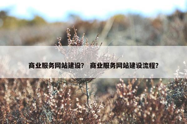 商业服务网站建设？ 商业服务网站建设流程？