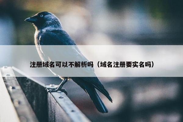 注册域名可以不解析吗（域名注册要实名吗）