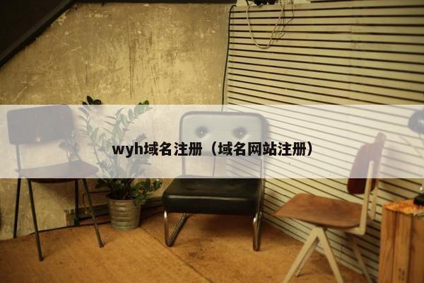 wyh域名注册（域名网站注册）