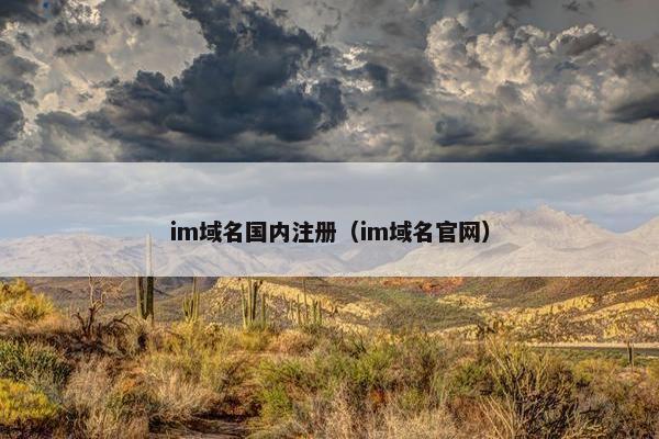 im域名国内注册（im域名官网）