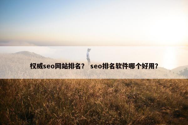 权威seo网站排名？ seo排名软件哪个好用？