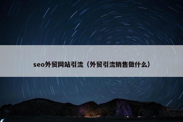 seo外贸网站引流（外贸引流销售做什么）