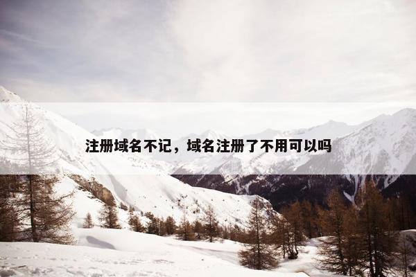 注册域名不记，域名注册了不用可以吗
