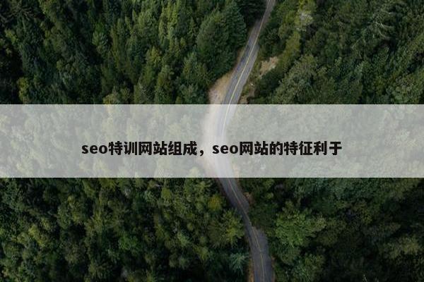 seo特训网站组成，seo网站的特征利于