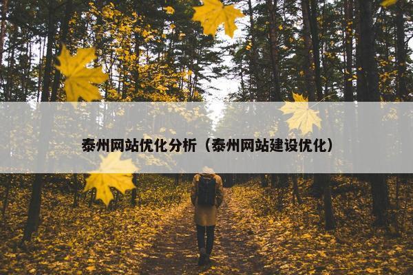 泰州网站优化分析（泰州网站建设优化）