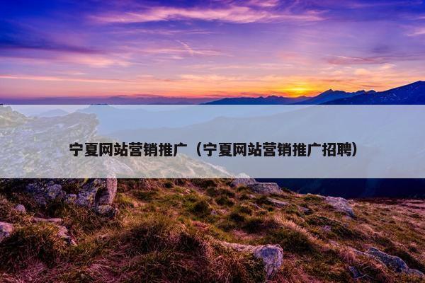宁夏网站营销推广（宁夏网站营销推广招聘）