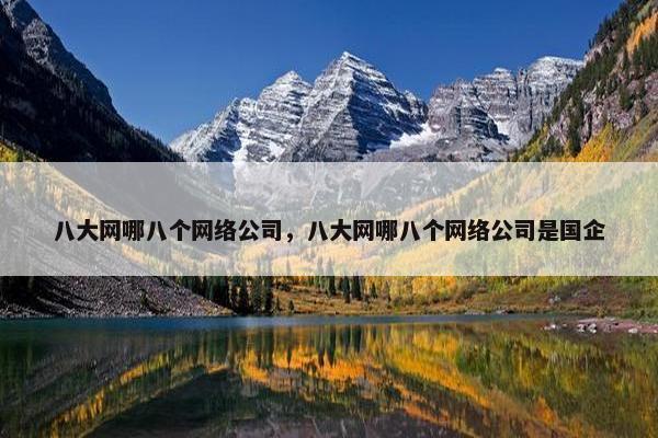 八大网哪八个网络公司，八大网哪八个网络公司是国企