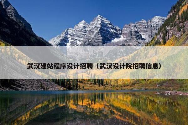 武汉建站程序设计招聘（武汉设计院招聘信息）
