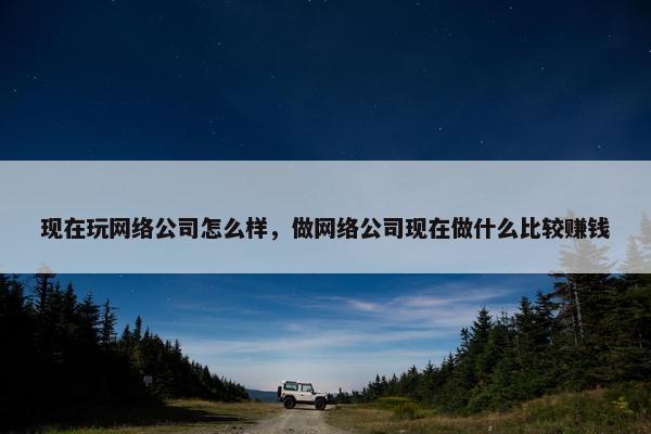 现在玩网络公司怎么样，做网络公司现在做什么比较赚钱