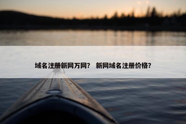 域名注册新网万网？ 新网域名注册价格？