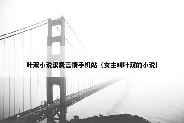 叶双小说浪费言情手机站（女主叫叶双的小说）