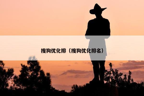搜狗优化排（搜狗优化排名）