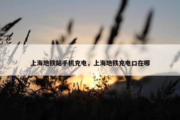 上海地铁站手机充电，上海地铁充电口在哪