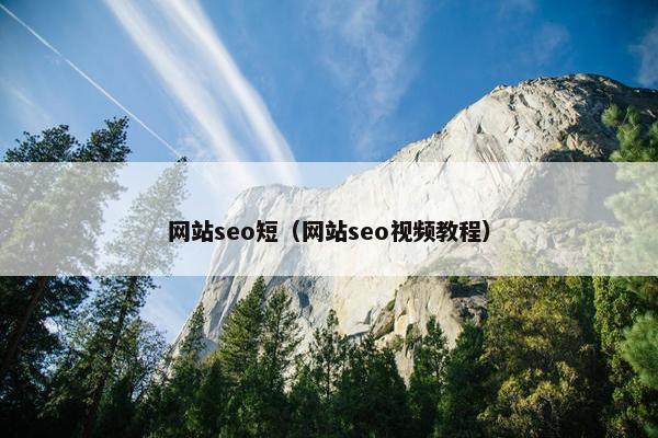 网站seo短（网站seo视频教程）