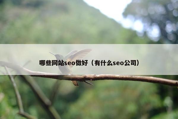 哪些网站seo做好（有什么seo公司）