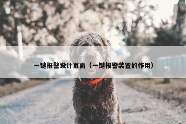 一键报警设计页面（一键报警装置的作用）