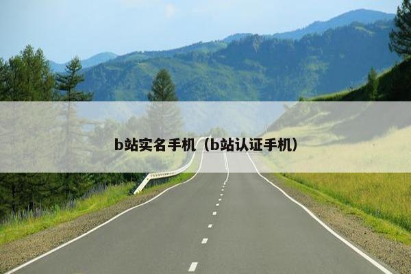 b站实名手机（b站认证手机）