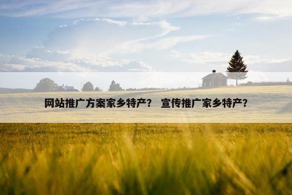 网站推广方案家乡特产？ 宣传推广家乡特产？
