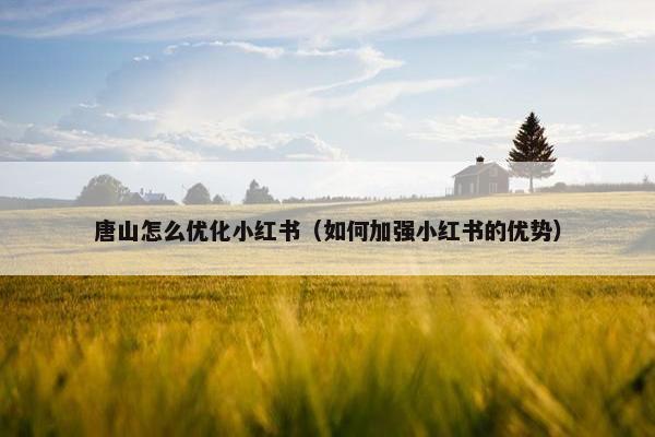 唐山怎么优化小红书（如何加强小红书的优势）