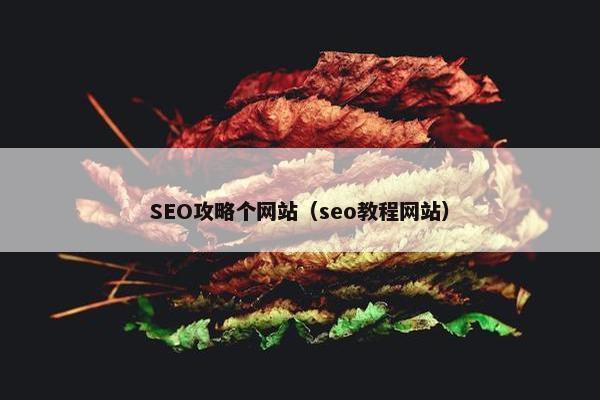 SEO攻略个网站（seo教程网站）
