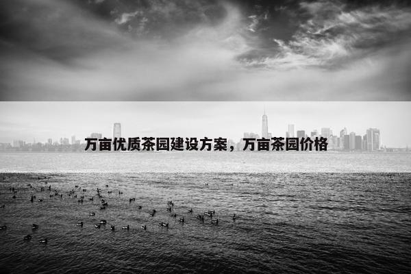 万亩优质茶园建设方案，万亩茶园价格