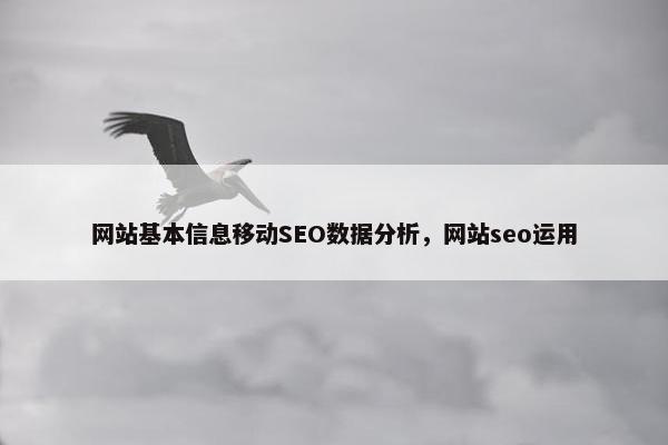 网站基本信息移动SEO数据分析，网站seo运用