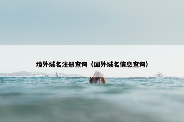 境外域名注册查询（国外域名信息查询）