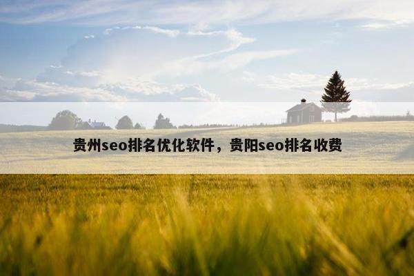 贵州seo排名优化软件，贵阳seo排名收费