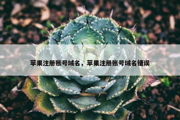 苹果注册账号域名，苹果注册账号域名错误