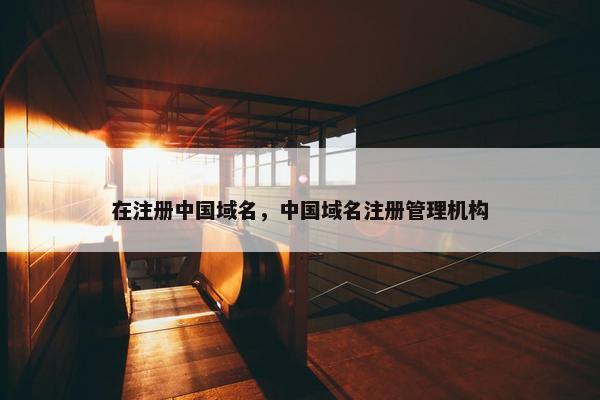 在注册中国域名，中国域名注册管理机构