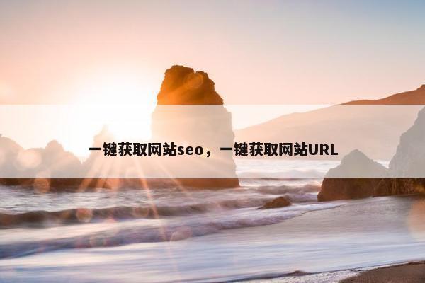一键获取网站seo，一键获取网站URL