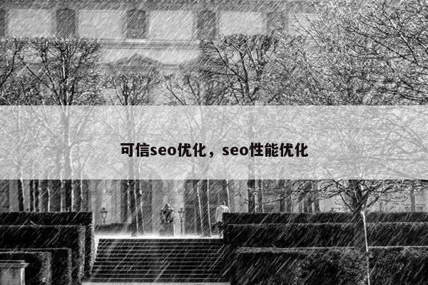 可信seo优化，seo性能优化