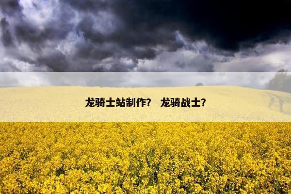 龙骑士站制作？ 龙骑战士？