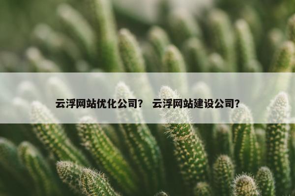 云浮网站优化公司？ 云浮网站建设公司？