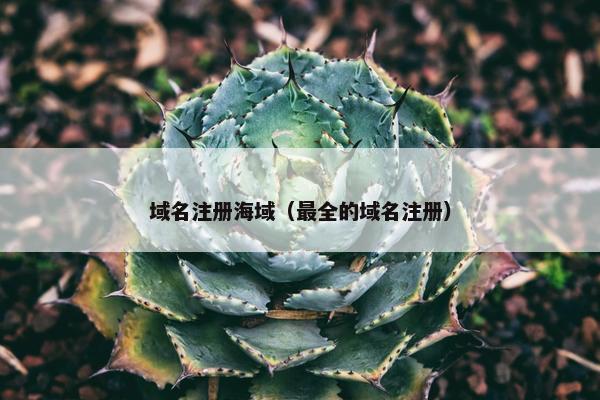 域名注册海域（最全的域名注册）