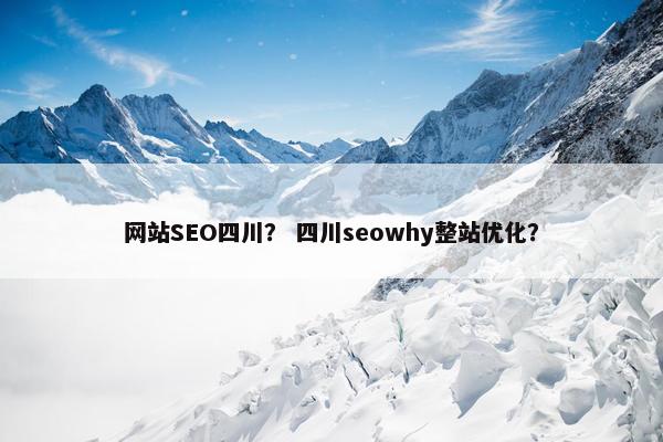 网站SEO四川？ 四川seowhy整站优化？