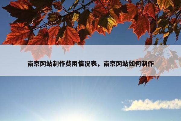 南京网站制作费用情况表，南京网站如何制作