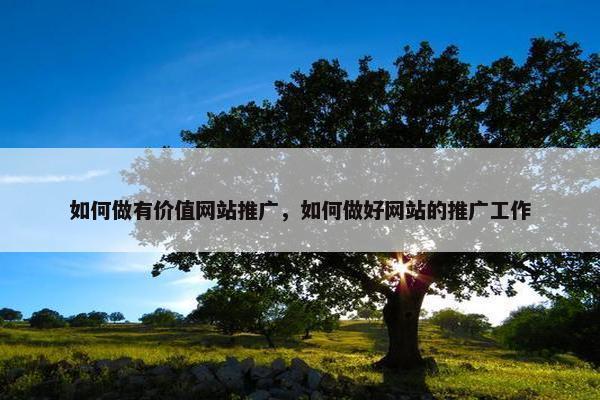 如何做有价值网站推广，如何做好网站的推广工作