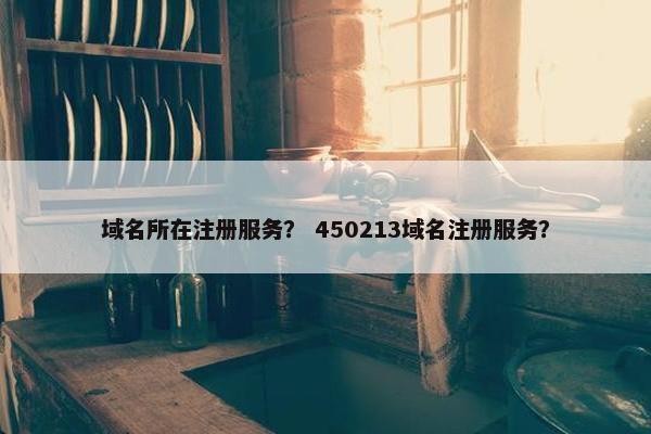 域名所在注册服务？ 450213域名注册服务？