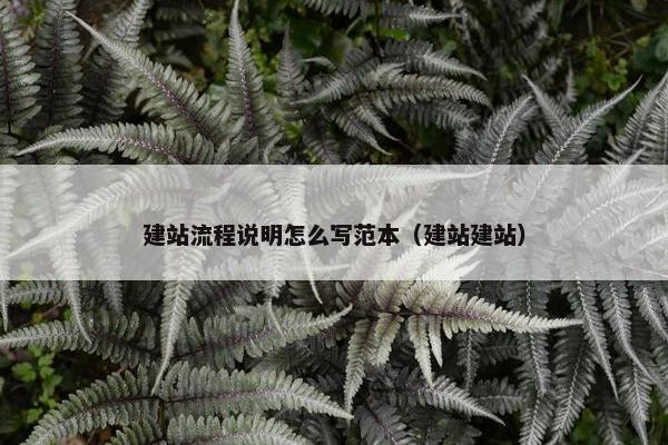 建站流程说明怎么写范本（建站建站）
