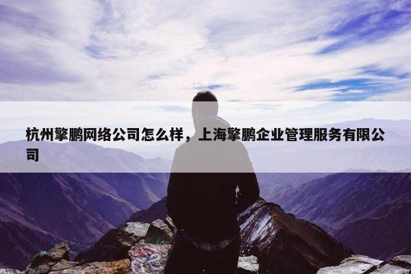 杭州擎鹏网络公司怎么样，上海擎鹏企业管理服务有限公司