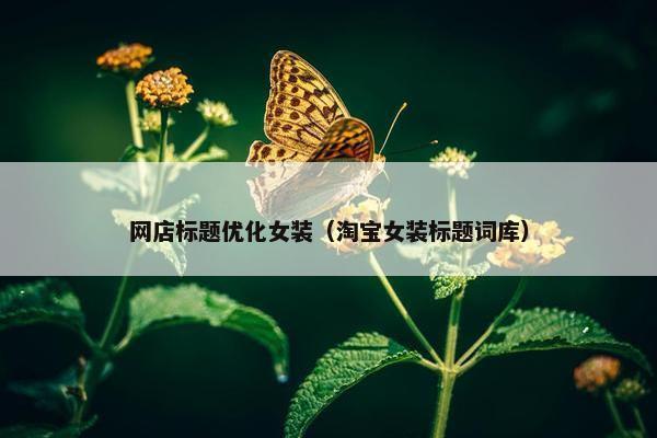 网店标题优化女装（淘宝女装标题词库）