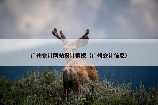 广州会计网站设计模板（广州会计信息）