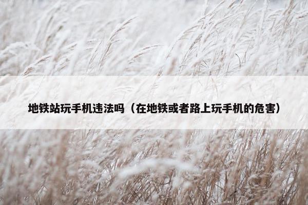 地铁站玩手机违法吗（在地铁或者路上玩手机的危害）