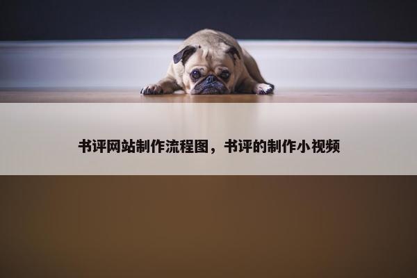 书评网站制作流程图，书评的制作小视频