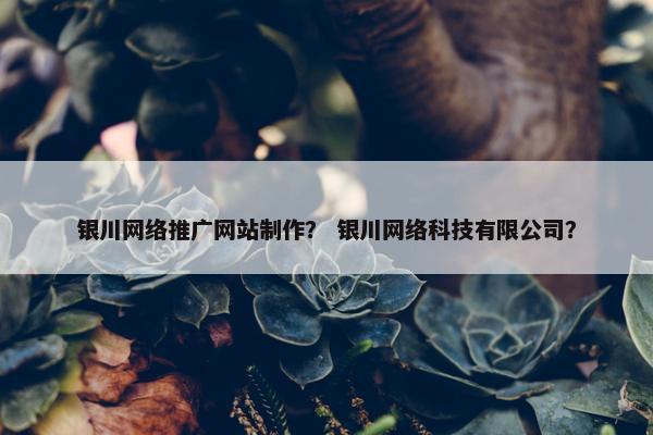 银川网络推广网站制作？ 银川网络科技有限公司？