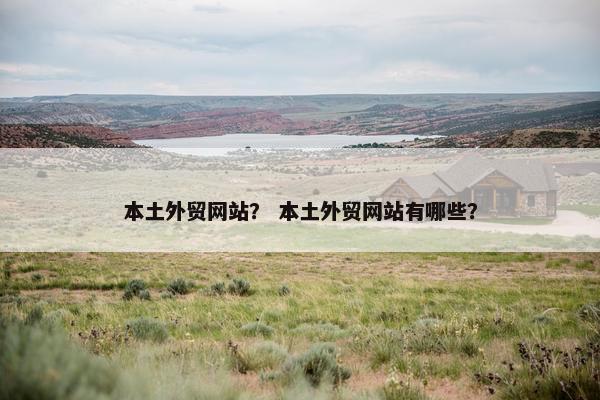 本土外贸网站？ 本土外贸网站有哪些？