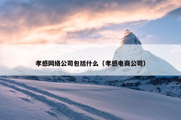 孝感网络公司包括什么（孝感电商公司）
